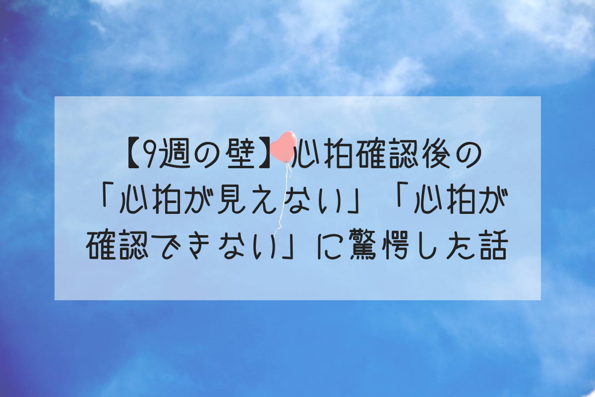 9週の壁 心拍確認後の 心拍が見えない 心拍が確認できない に驚愕した話 Life Design やすわか