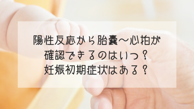 陽性反応から胎嚢 心拍が確認できるのはいつ 妊娠初期症状はある めのさん家