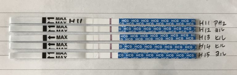 妊娠検査薬と排卵検査薬 フライング検査の比較実験してみた | めのさん家