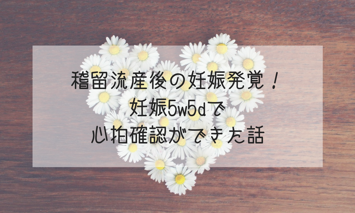 稽留流産後の妊娠発覚 妊娠5w5dで心拍確認ができた話 Life Design やすわか