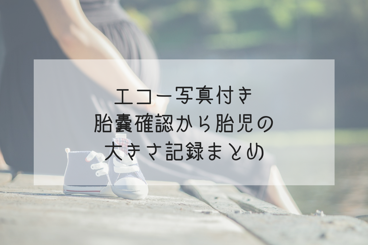 エコー写真付き 胎嚢確認から胎児の大きさ記録まとめ 5w 9w Life Design やすわか