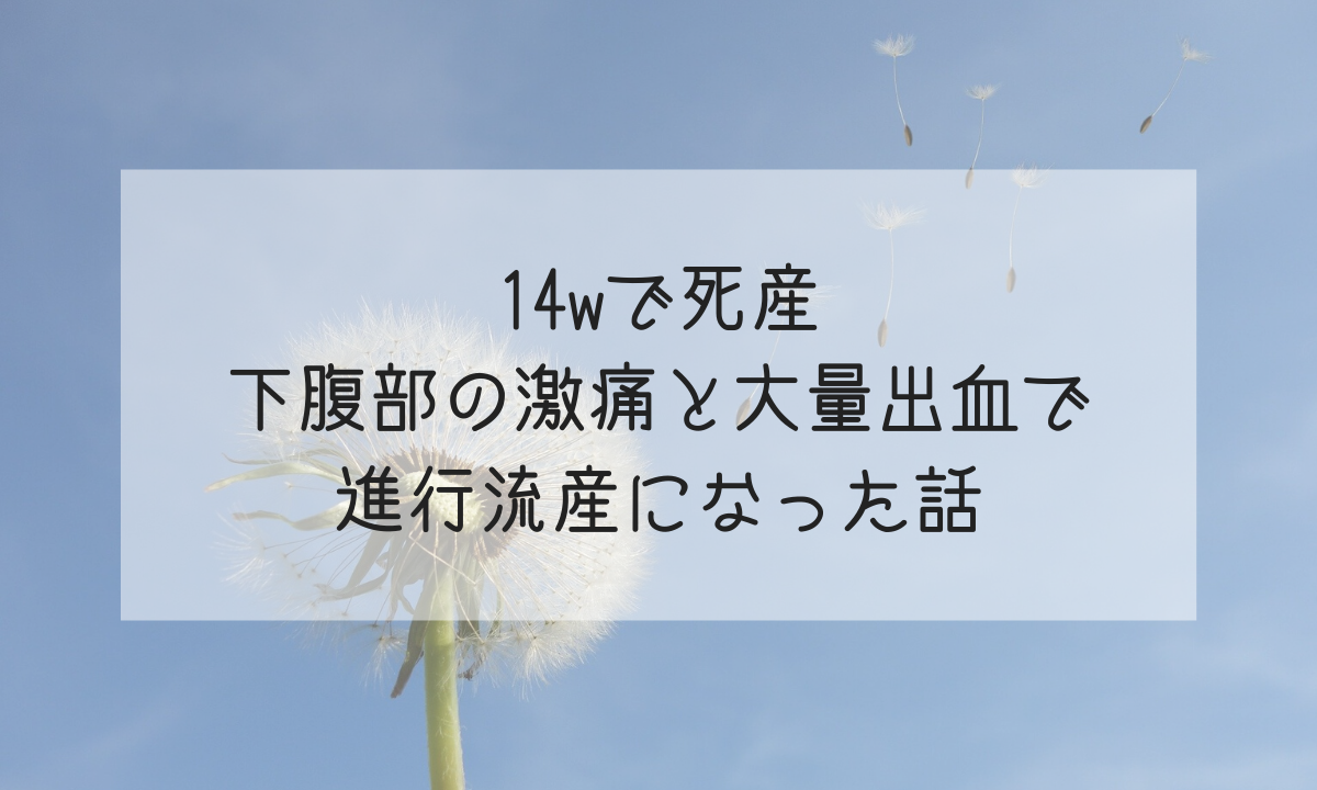 14wで死産 下腹部の激痛と大量出血で進行流産になった話 Life Design やすわか