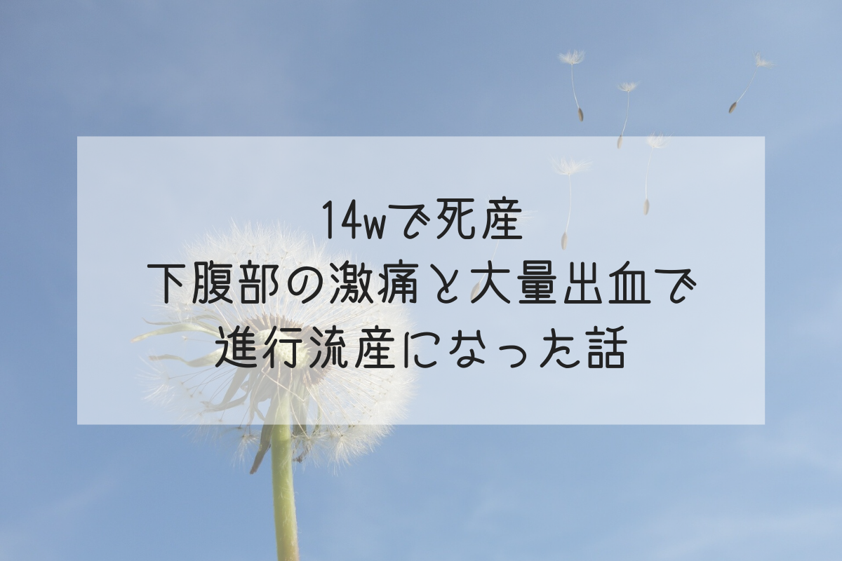 14wで死産 下腹部の激痛と大量出血で進行流産になった話 Life Design やすわか